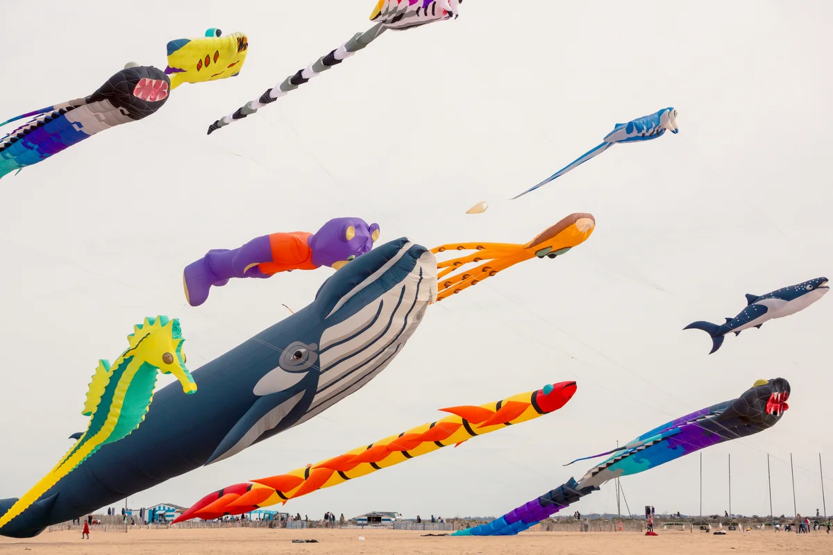 Kamen KITE